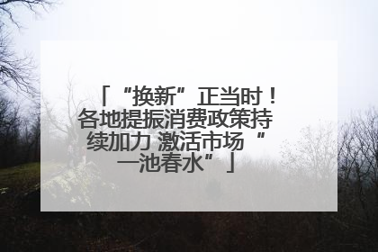 “换新”正当时！各地提振消费政策持续加力 激活市场“一池春水”